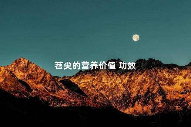 苕尖的营养价值 功效